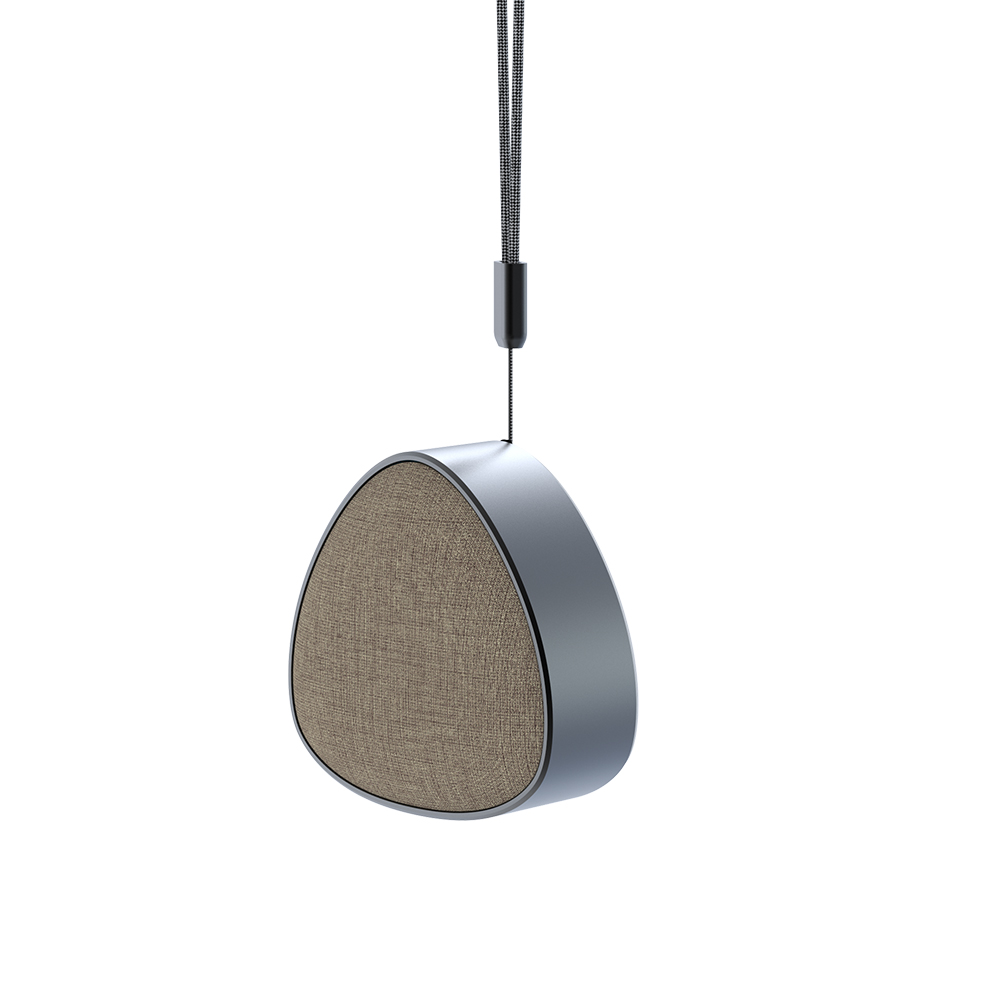 Portable Audio System